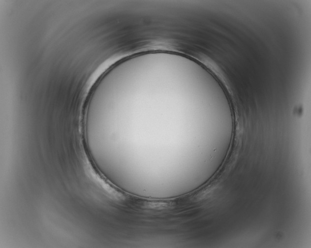 X0000113011339200909171420