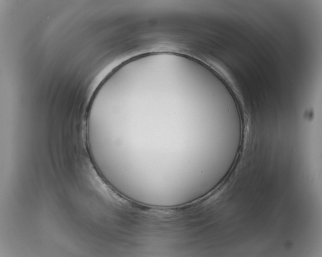 X0000113011340200909171420