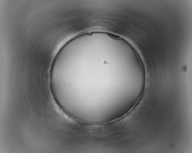 X0000113011341200909171420