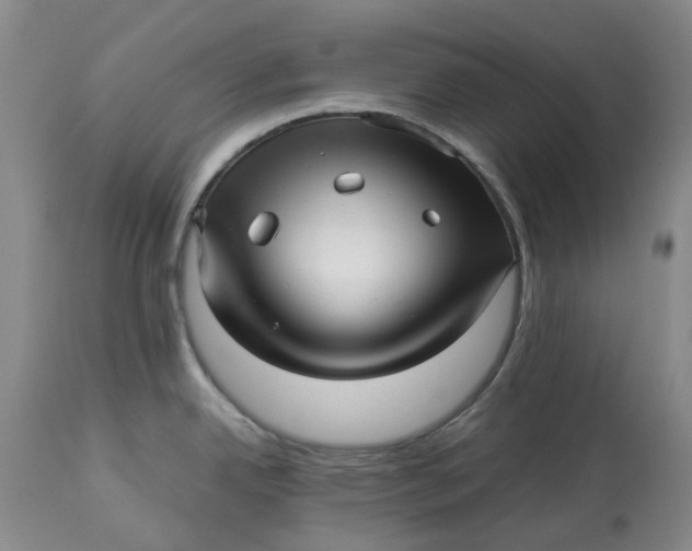 X0000113011342200909171420