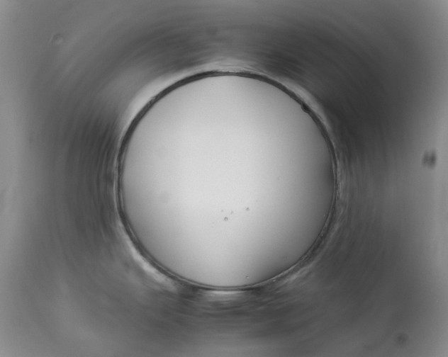 X0000113011343200909171420