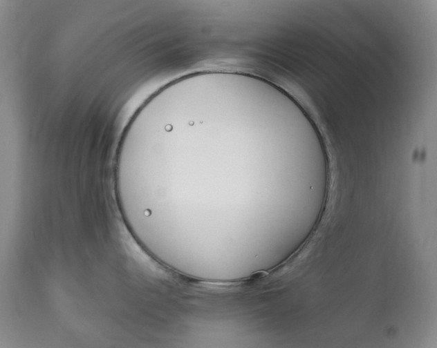 X0000113011344200909171420