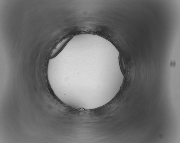 X0000113011345200909171420