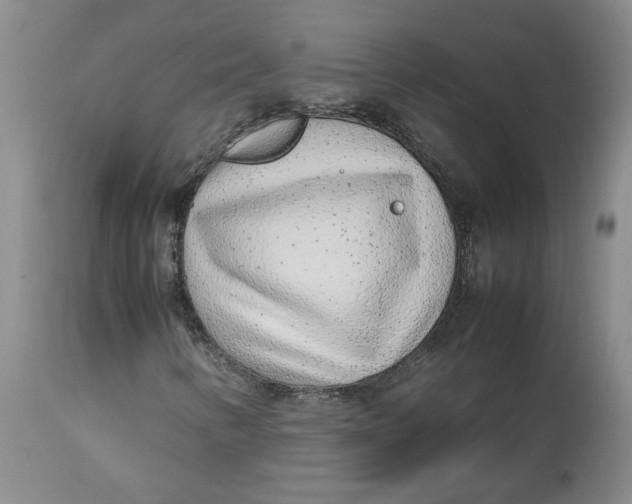 X0000113011346200909171420