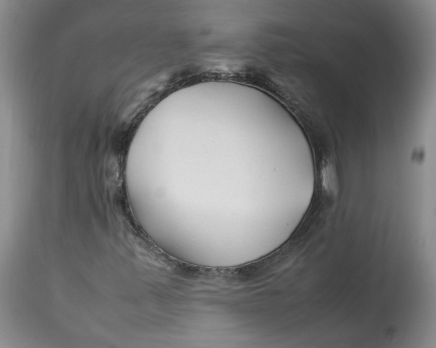 X0000113011347200909171420