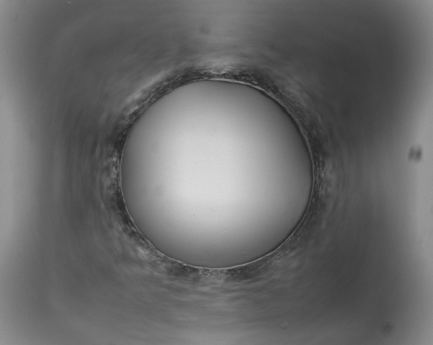 X0000113011349200909171420