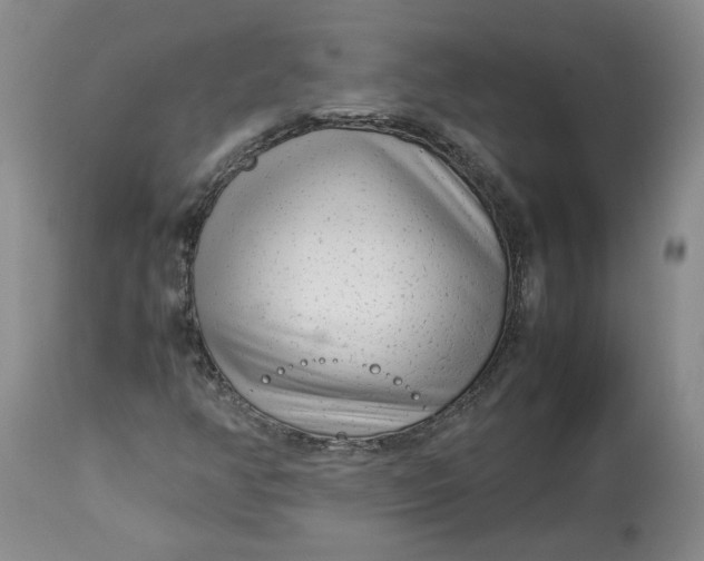 X0000113011350200909171420