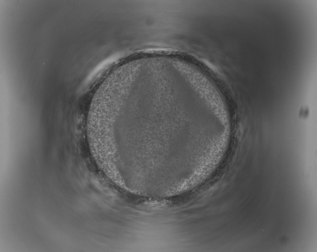 X0000113011351200909171420