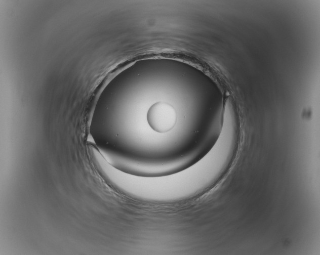 X0000113011353200909171420