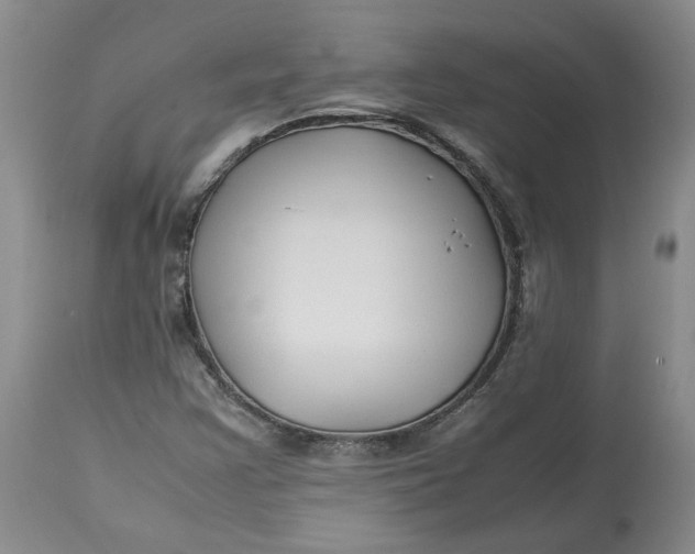 X0000113011355200909171420