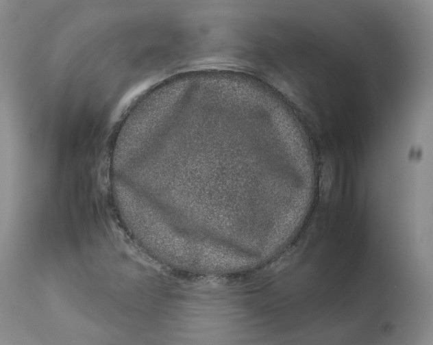 X0000113011358200909171420