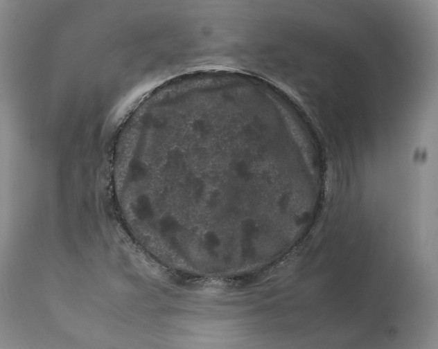 X0000113011359200909171420