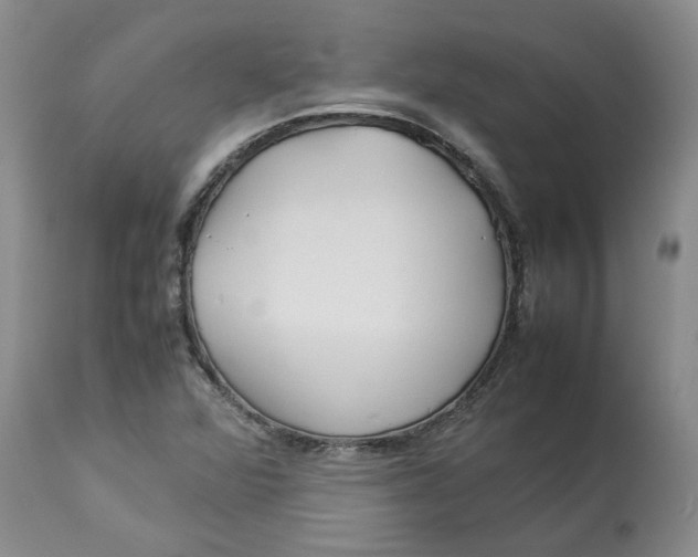 X0000113011360200909171420