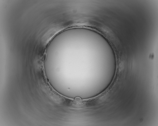 X0000113011361200909171420