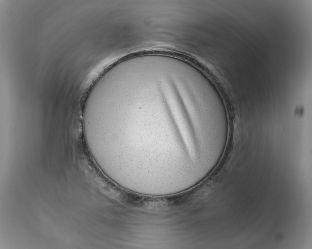 X0000113011363200909171420