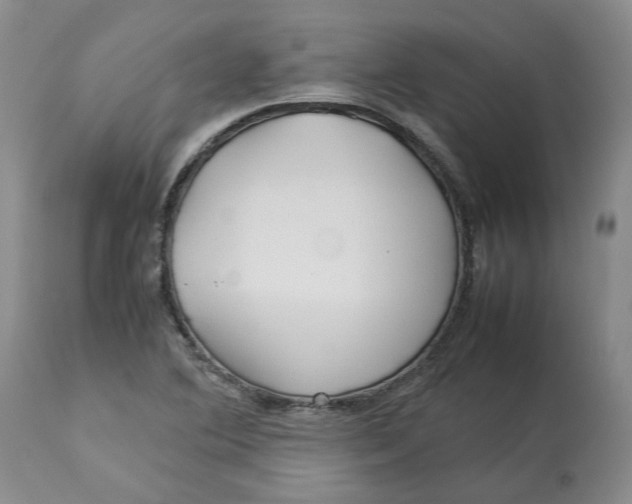 X0000113011364200909171420