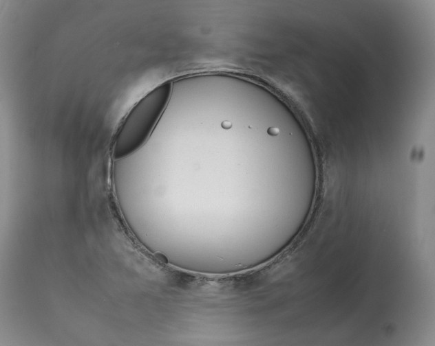 X0000113011365200909171420