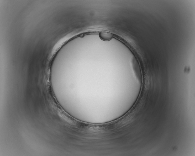 X0000113011366200909171420