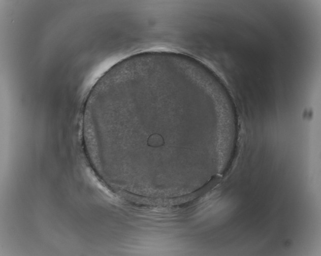 X0000113011367200909171419