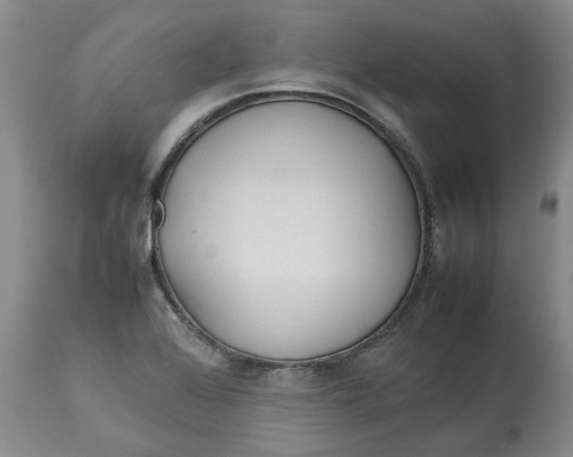 X0000113011368200909171419