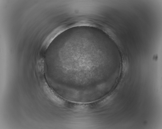 X0000113011369200909171419