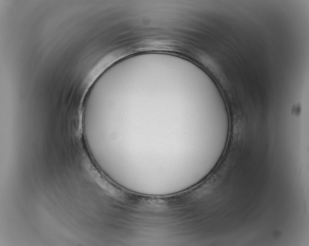 X0000113011370200909171419