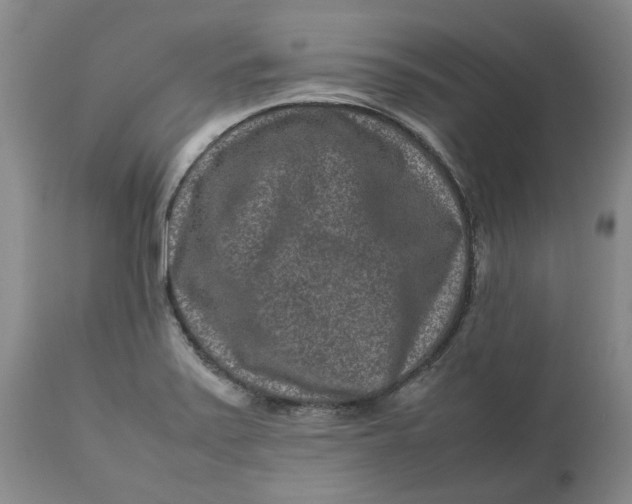 X0000113011371200909171419