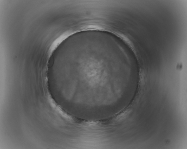 X0000113011373200909171419