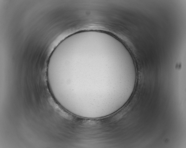 X0000113011374200909171419