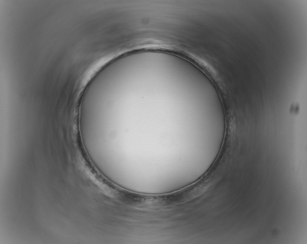 X0000113011375200909171419