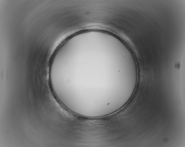 X0000113011376200909171419