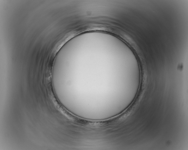 X0000113011377200909171419