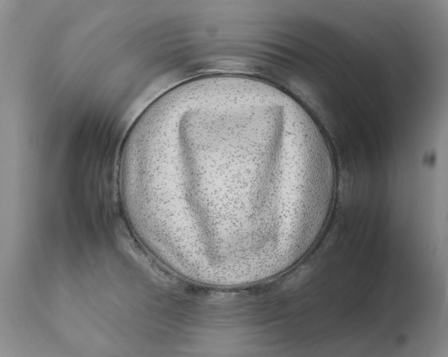 X0000113011378200909171419