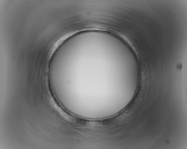 X0000113011379200909171419