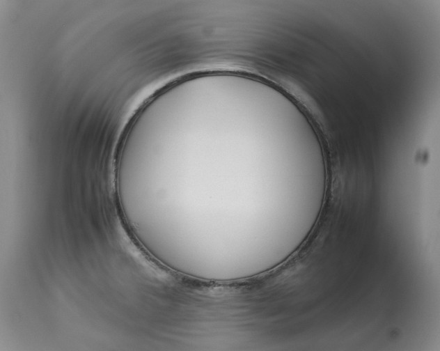 X0000113011380200909171419