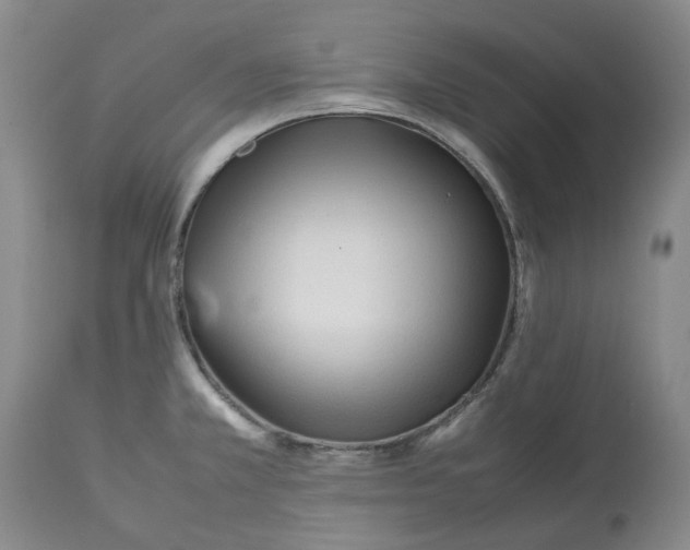 X0000113011381200909171419