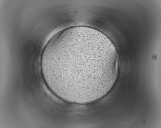 X0000113011382200909171419