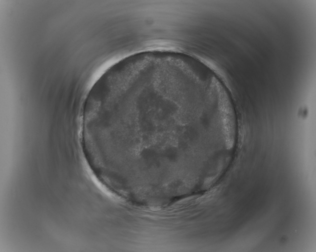 X0000113011383200909171419