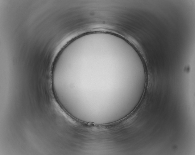 X0000113011384200909171419