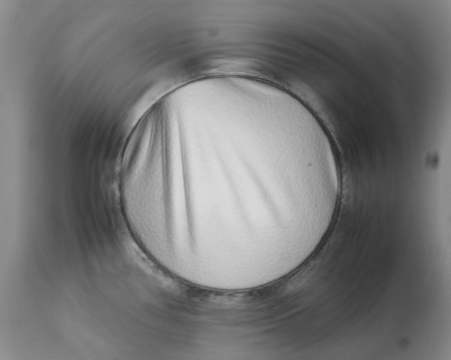 X0000113011386200909171419