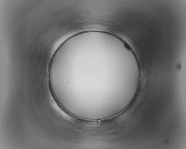 X0000113011387200909171419