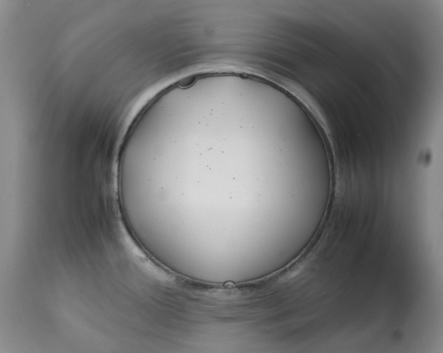 X0000113011388200909171419