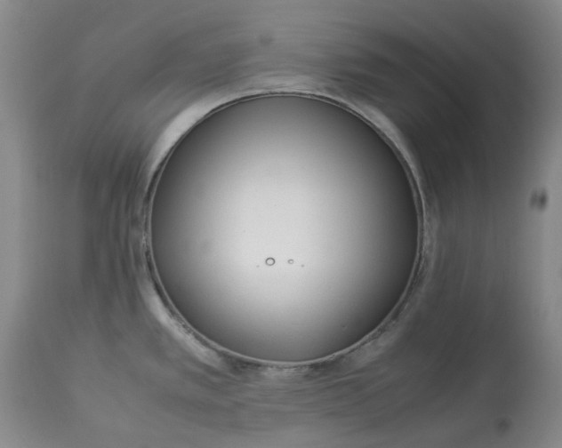 X0000113011389200909171419