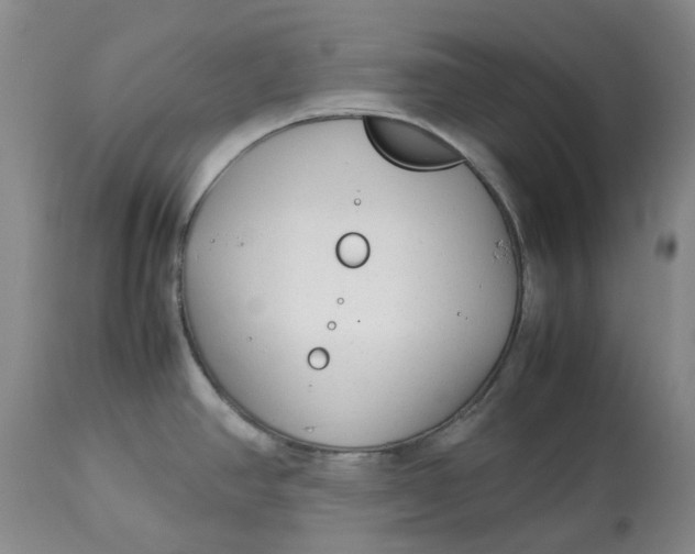 X0000113011390200909171419