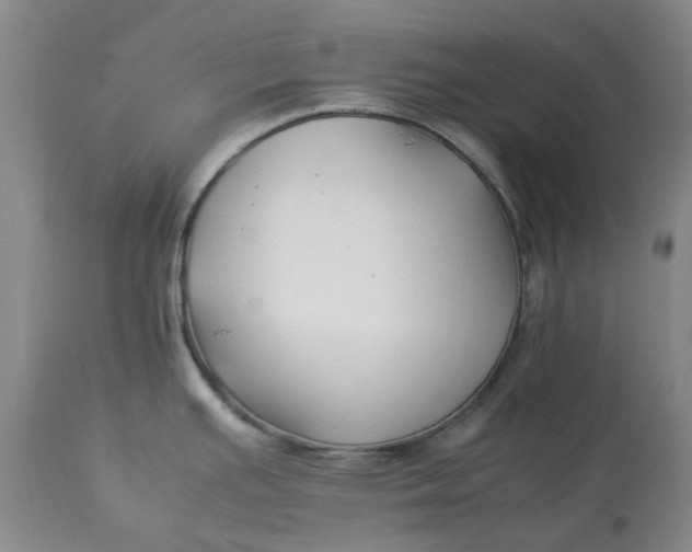 X0000113011391200909171419