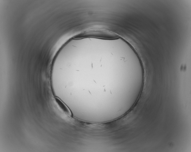 X0000113011392200909171419