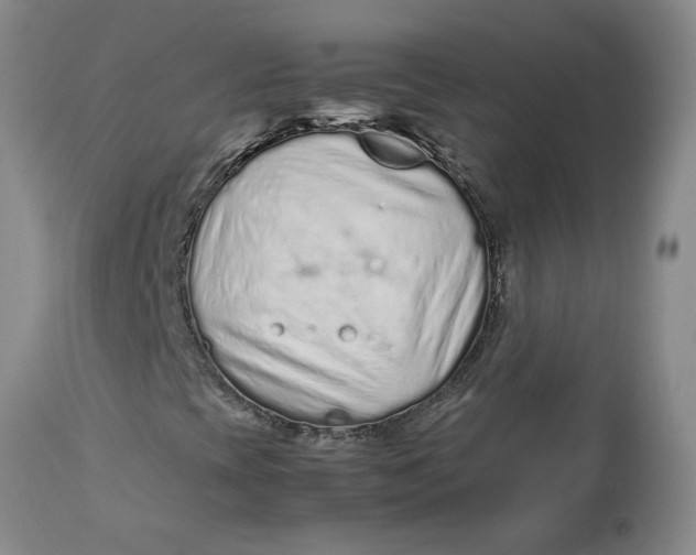 X0000113011393200909171418