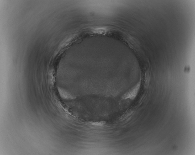 X0000113011394200909171418