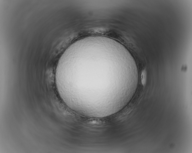 X0000113011395200909171419