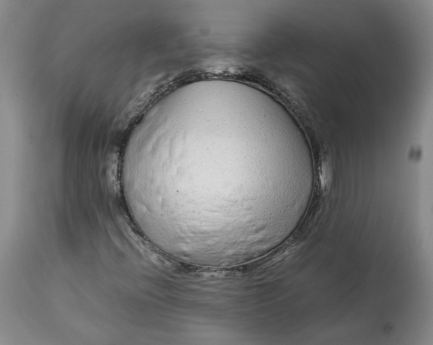 X0000113011396200909171419